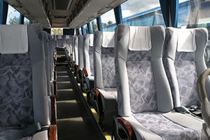 bus-image